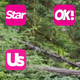 Image for article titled This Week In Tabloids: Gwen's Pregnant, Blake's the Daddy, and Miranda's So Pissed, Y'all
